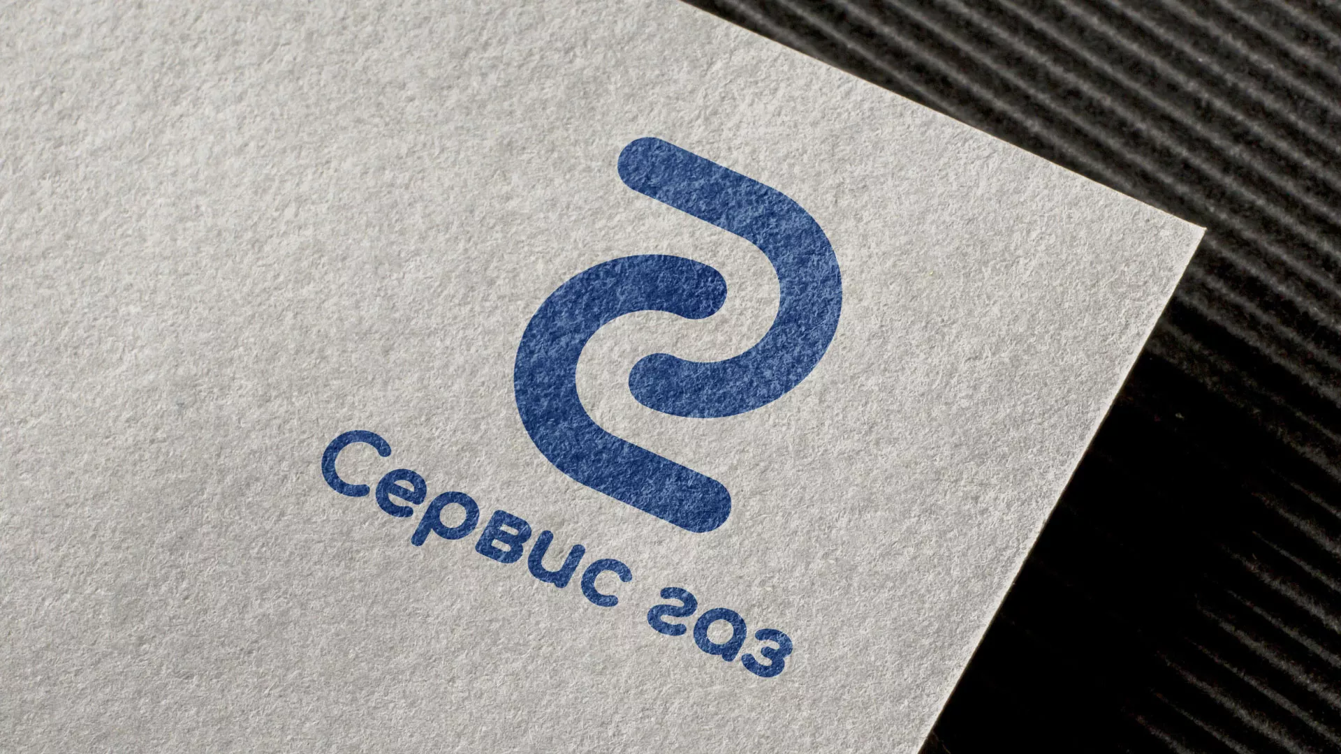 Разработка логотипа «Сервис газ» в Олонце