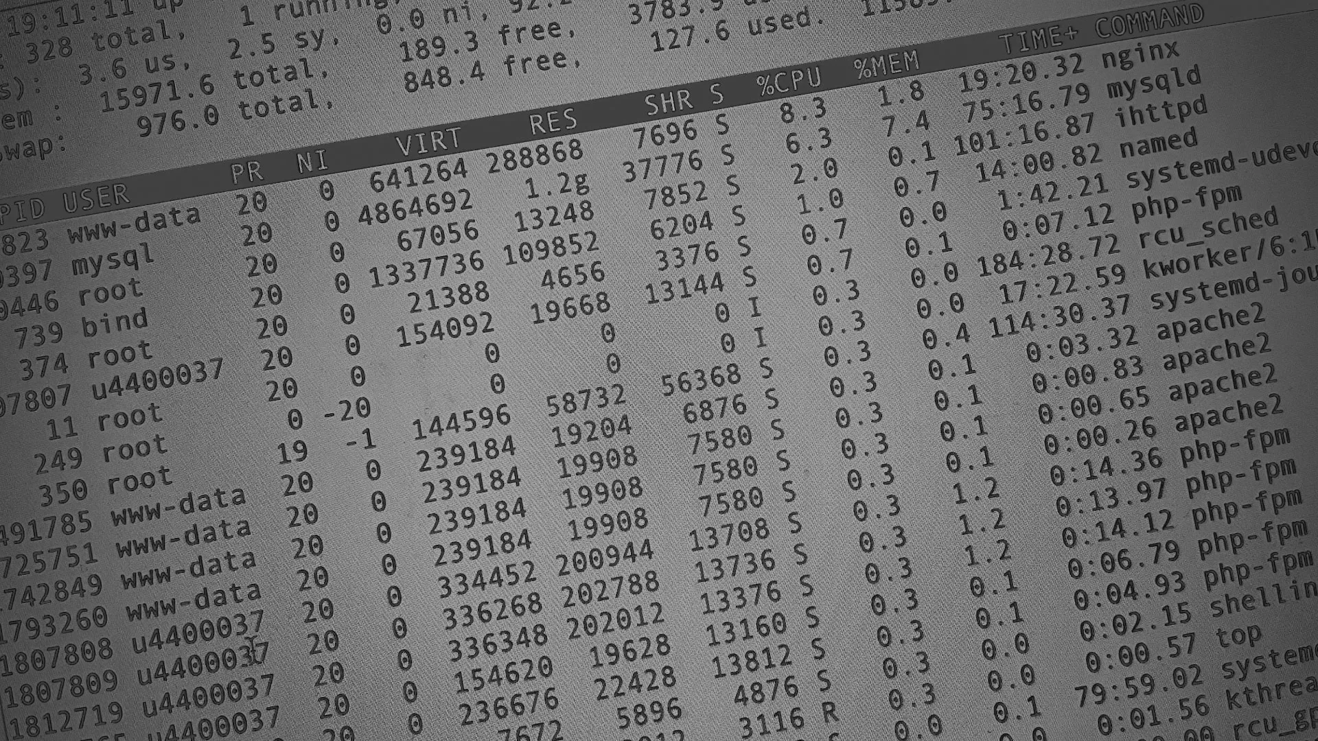 Настройка сервера в Олонце