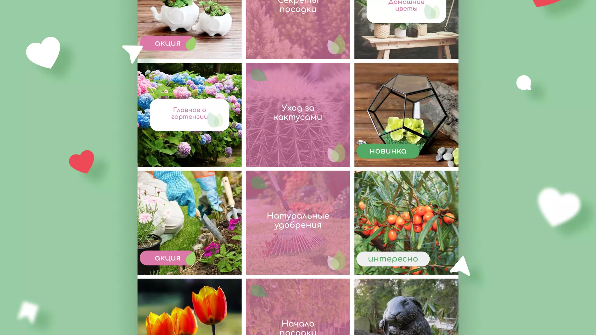 Разработка оформления профиля Instagram для магазина «Floraint» в Олонце