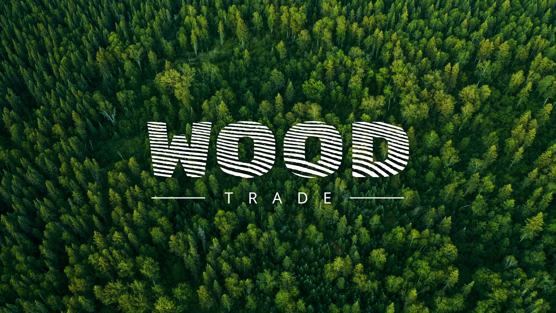 Разработка интернет-магазина компании «Wood Trade» в Олонце