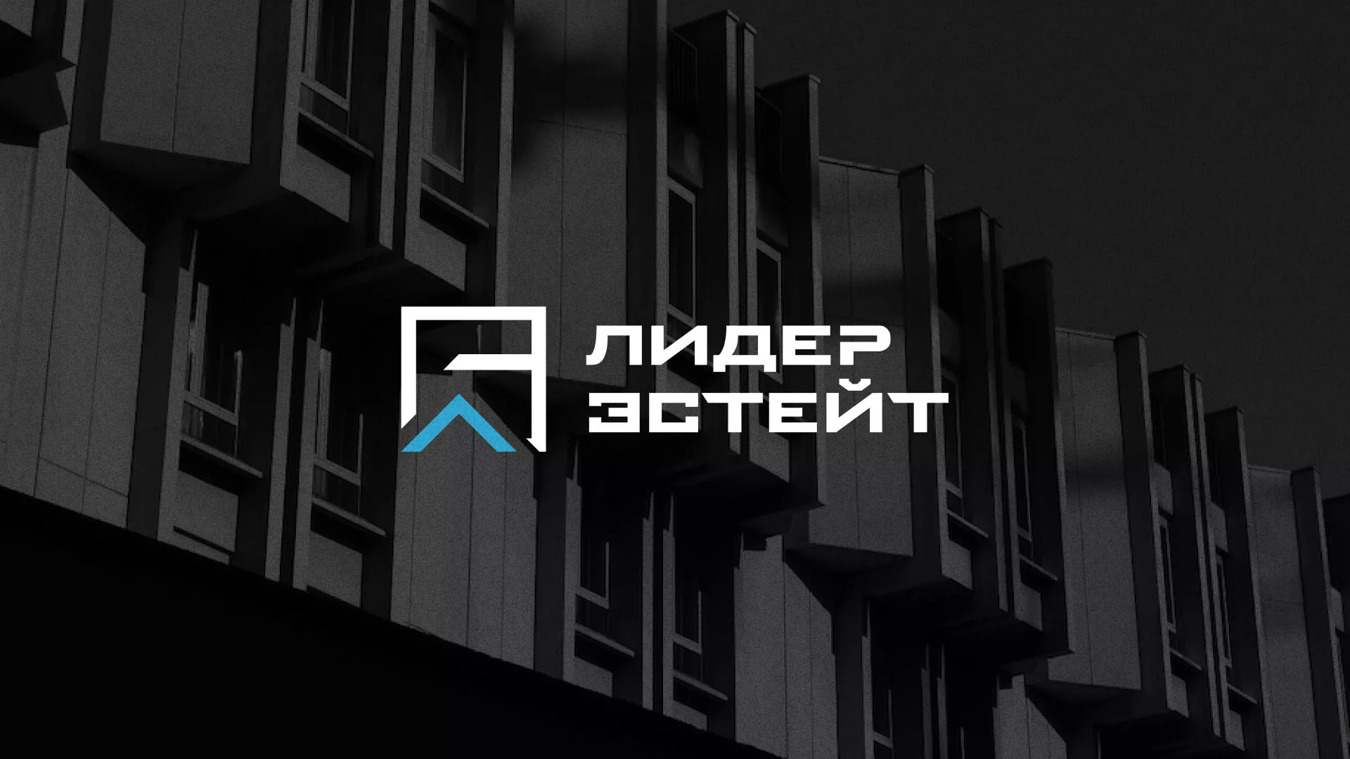Разработка логотипа агентства недвижимости «Лидер Эстейт» в Олонце